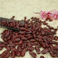 High Quality Dark Red Kidney Bean / DRKB With Competitive Price